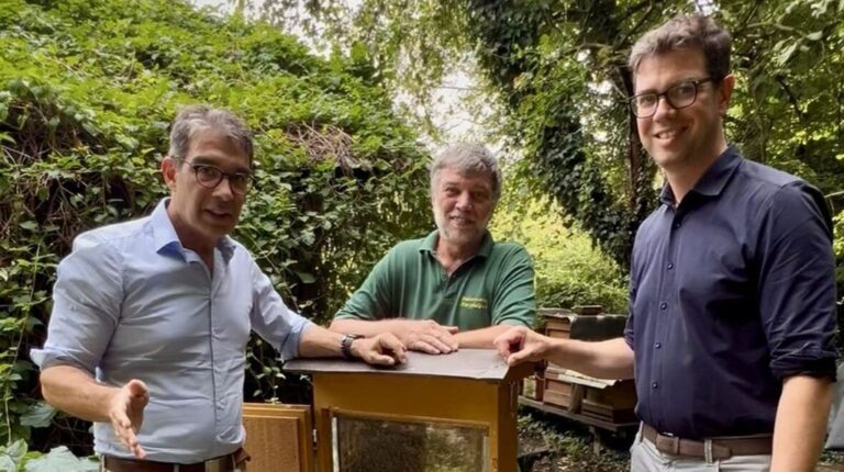Bei Günther Martin in Ketsch trifft Pädagogik auf Imkerei