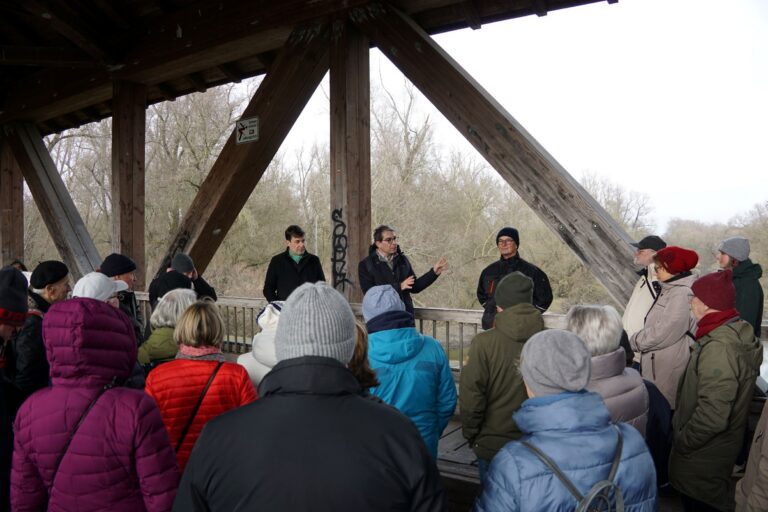 Grünes Kleinod in Ketsch: Exkursion auf der Rheininsel enthüllt Naturwunder und Kulturschätze