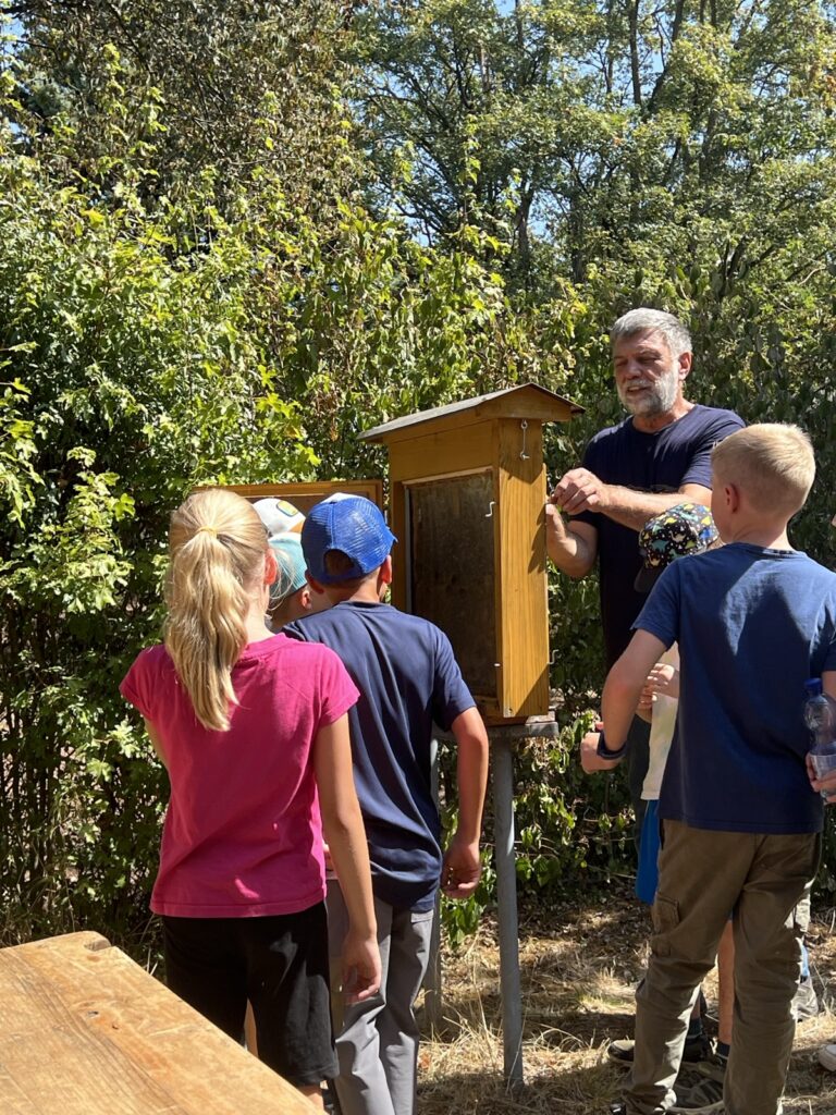 Ferienprogramm der Grünen Ketsch: Ein spannender Tag bei den Bienen